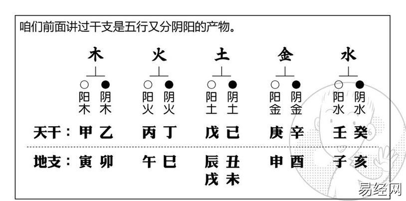 十天干五行属性，十二地支五行属性对照表！