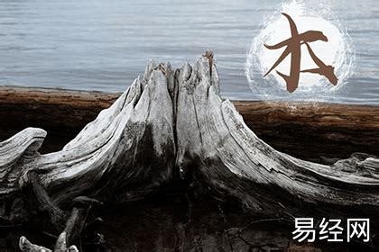 五行缺木佩戴什么最旺 五行缺木佩戴什么最旺