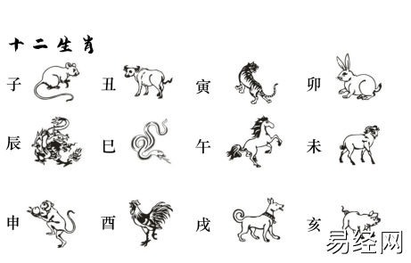 天干地支五行对照表十二生肖