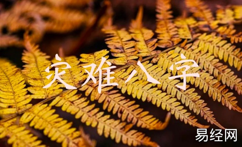 命局里易出现灾难的八字