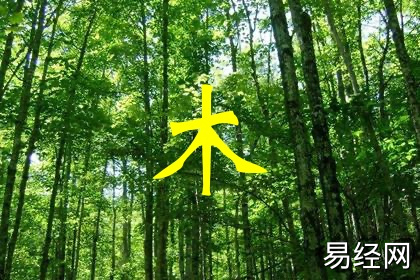 五行缺木会有什么影响