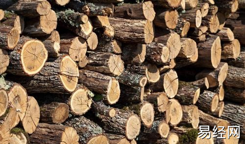 五行缺木的人适合什么工作