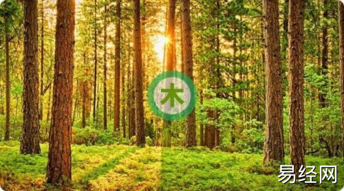 五行缺木怎么取名字