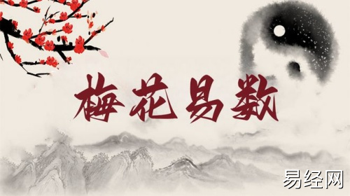 梅花易数零基础入门教学 梅花易数零基础入门教学