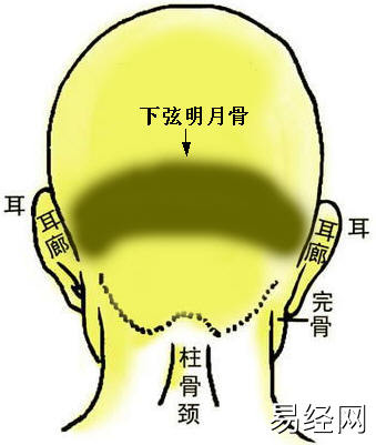 下弦明月骨