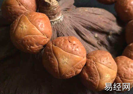 龙眼菩提怎么盘玩