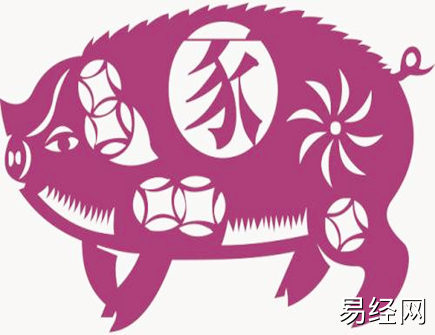 属猪人家里养什么植物好