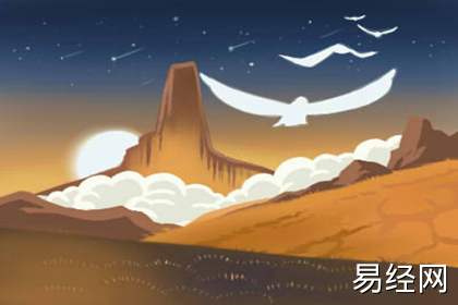 详解：虎皮兰的风水作用