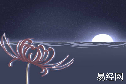 那些你所不知的聚财风水植物