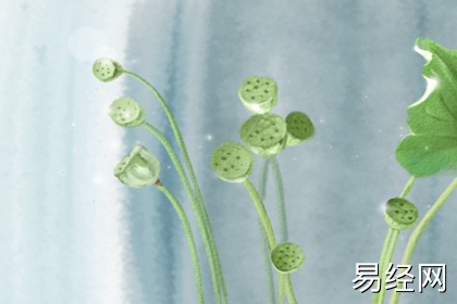 办公室桌面植物有什么讲究？