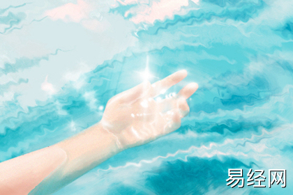 居家植物风水：文竹的风水作用