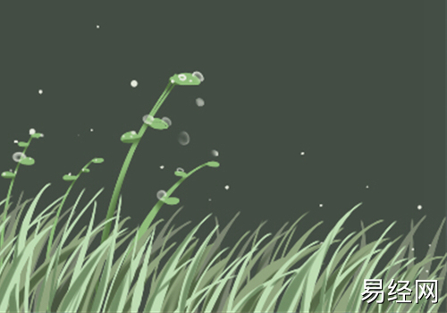 盘点风水摆件蟾蜍的寓意