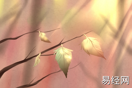 家里这几个方位放八卦镜可驱灾 家里这几个方位放八卦镜可驱灾