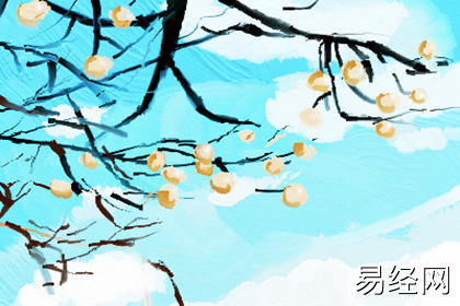 屋内什么摆件能让孩子一出生就有贵人相助