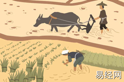 公司财务室可以请什么神佛像 公司财务室可以请什么神佛像