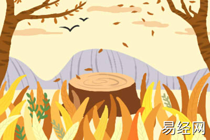 把物品换成双对的能催旺桃花吗 把物品换成双对的能催旺桃花吗