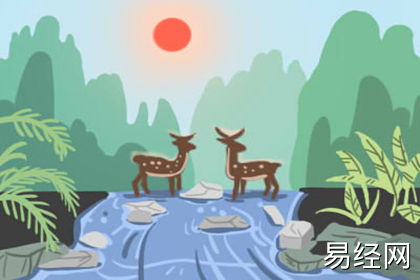 客厅财位摆放什么招财 客厅财位摆放什么招财