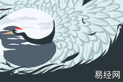 风水学家里摆什么可以转运 风水学家里摆什么可以转运