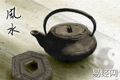 客厅财位摆放什么会好一些