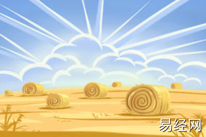 办公室种植虎皮兰有什么风水作用 办公室种植虎皮兰有什么风水作用