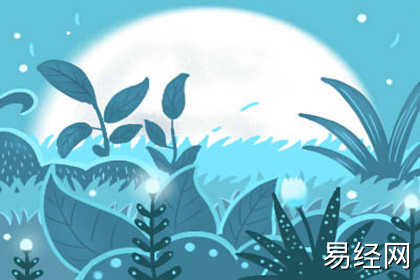 办公室鲜花莫乱摆，办公室鲜花摆放风水