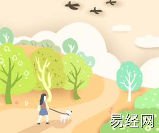 属猪办公室风水布局注意事项