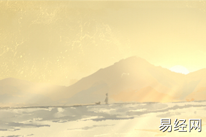 办公室风水摆设布局 办公室风水摆设布局