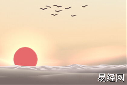 公司布置风水教学