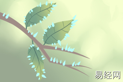 职场男性办公室风水