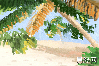 办公室前台摆什么植物好 办公室前台摆什么植物好