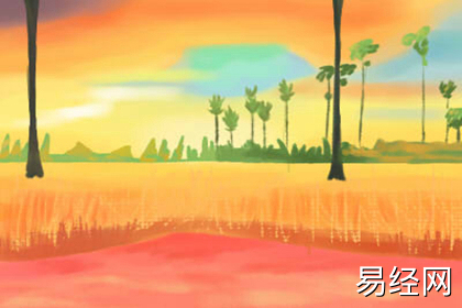 红掌放在办公室好吗