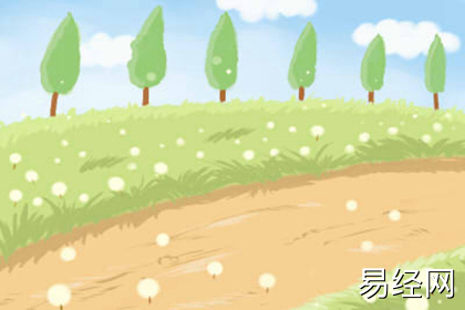 这些办公室风水会让事业不顺