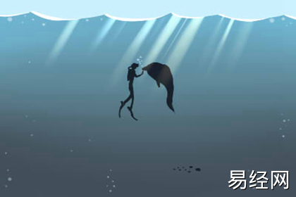 属龙的人办公室养什么花最旺财