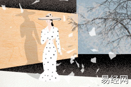 属兔的人办公室养什么花最旺财 属兔的人办公室养什么花最旺财