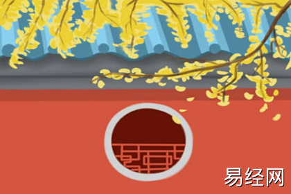 办公室摆放过多植物的风水后果