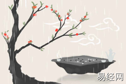 办公室放什么植物风水好 有何说法 办公室放什么植物风水好 有何说法