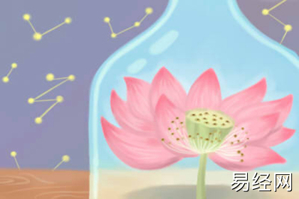 办公室放什么旺财 有何说法