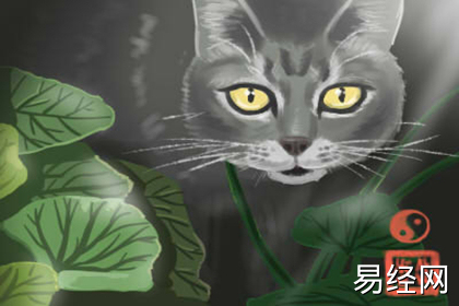 风水好的办公室布局是怎样的