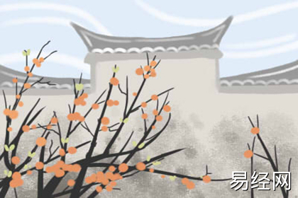 老板办公室风水禁忌讲究