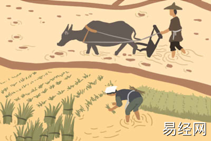 办公桌的摆放风水禁忌讲究