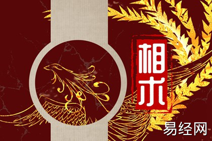 双川掌女 命硬 福气常相伴 双川掌女 命硬 福气常相伴