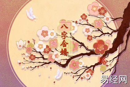 女命日柱乙巳不能娶 乙巳日柱女命配偶特征