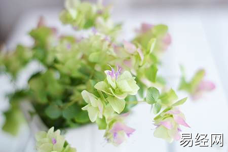 冰箱的摆放风水讲究