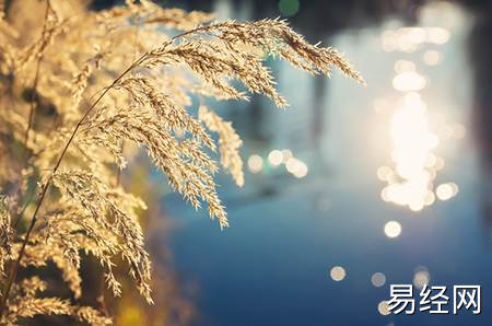 进门玄关摆什么较合适,大门玄关摆什么较合适