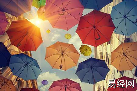 玄关柜台适合摆什么植物,玄关柜台适合摆什么花