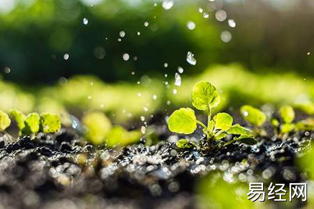 家里风水变好的方法有哪些