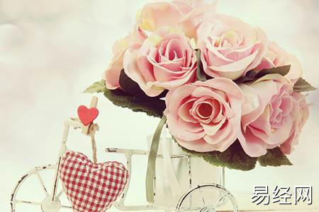 家里植物太多风水好不好呢