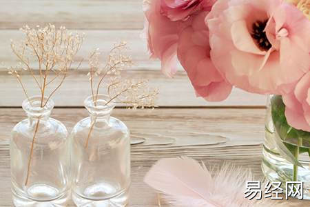 家里摆大象的寓意是什么,家里摆大象的意思