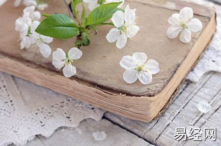 什么颜色的葫芦招财_葫芦的风水作用