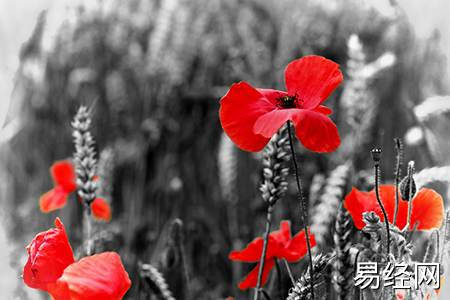 暴富的家居风水格局大全